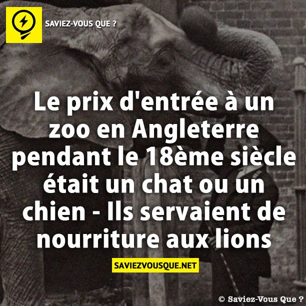 Le prix d&#039;entrée à un zoo en Angleterre pendant le 18ème siècle était un chat ou un chien - Ils servaient de nourriture aux lions