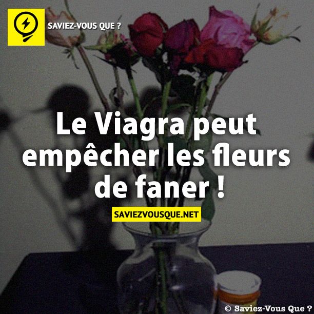 Le Viagra peut empêcher les fleurs de faner !