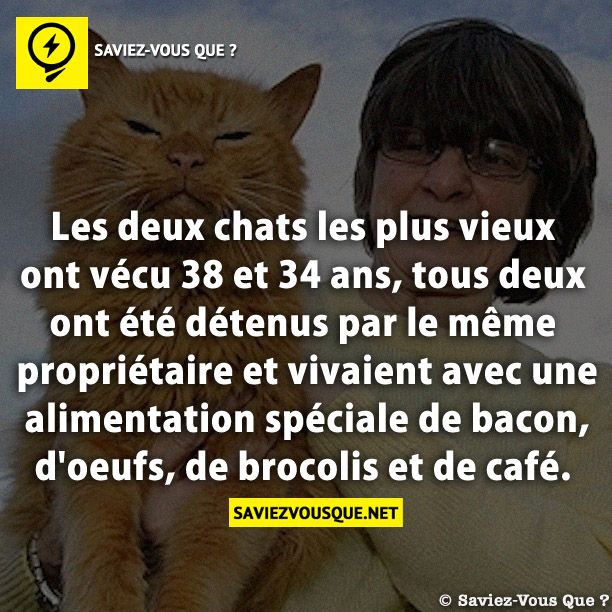 Les deux chats les plus vieux ont vécu 38 et 34 ans, tous deux ont été détenus par le même propriétaire et vivaient avec une alimentation spéciale de bacon, d&#039;oeufs, de brocolis et de café.