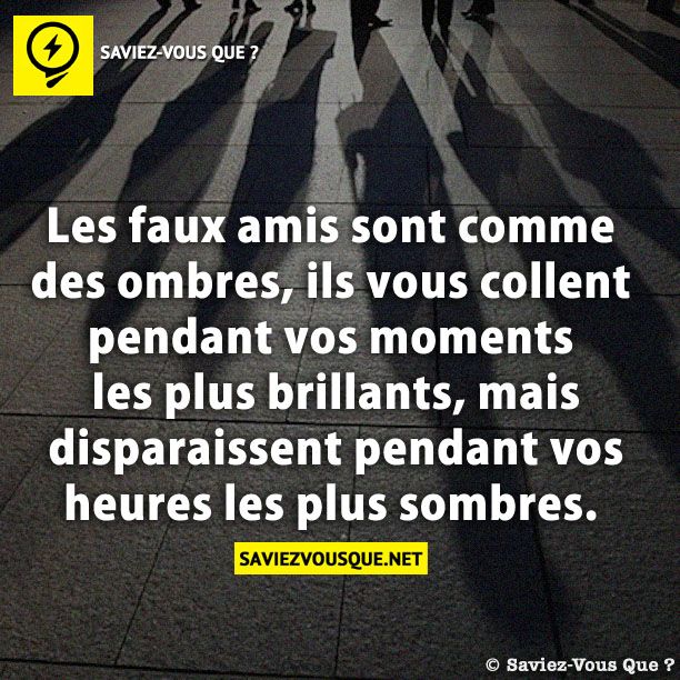 Les faux amis sont comme des ombres, ils vous collent pendant vos moments les plus brillants, mais disparaissent pendant vos heures les plus sombres.