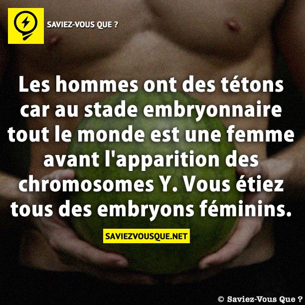 Les hommes ont des tétons car au stade embryonnaire tout le monde est une femme avant l&#039;apparition des chromosomes Y. Vous étiez tous des embryons féminins.