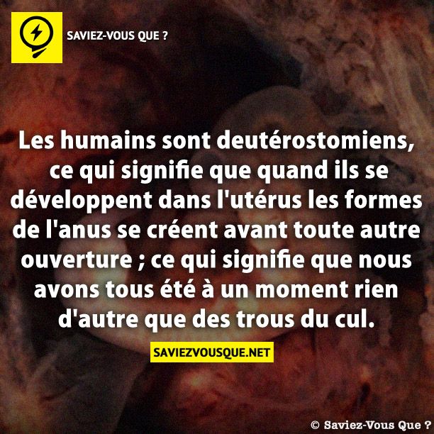 Les humains sont deutérostomiens, ce qui signifie que quand ils se développent dans l&#039;utérus les formes de l&#039;anus se créent avant toute autre ouverture ; ce qui signifie que nous avons tous été à un moment rien d&#039;autre que des trous du cul.