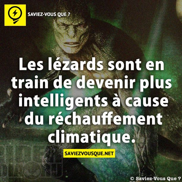 Les lézards sont en train de devenir plus intelligents à cause du réchauffement climatique.