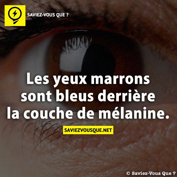 Les yeux marrons sont bleus derrière la couche de mélanine.
