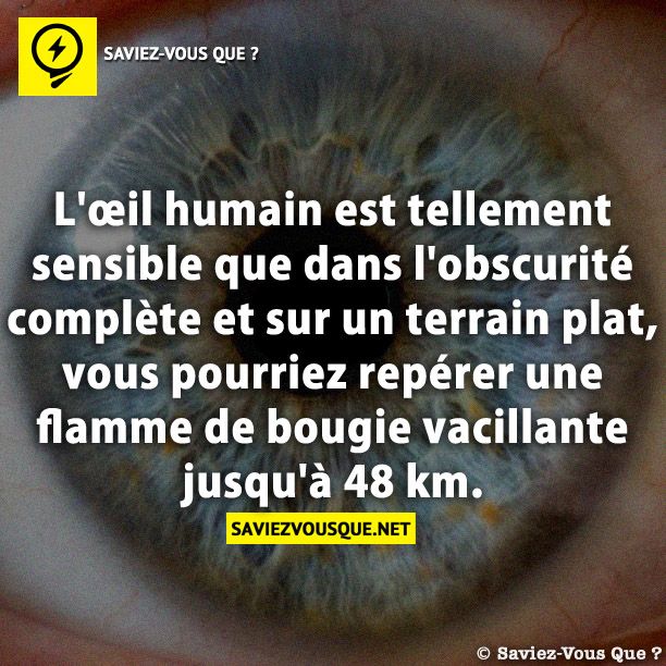 L&#039;œil humain est tellement sensible que dans l&#039;obscurité complète et sur un terrain plat,  vous pourriez repérer une flamme de bougie vacillante jusqu&#039;à 48 km .