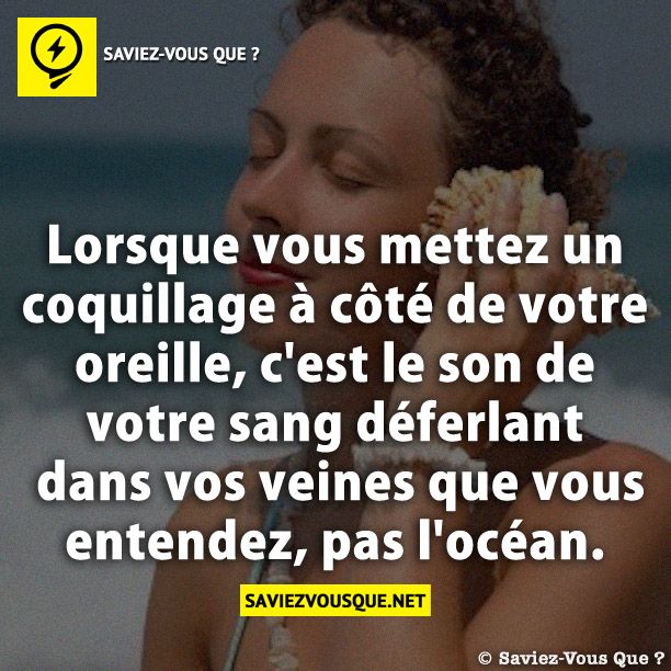 Lorsque vous mettez un coquillage à côté de votre oreille, c&#039;est le son de votre sang déferlant dans vos veines que vous entendez, pas l&#039;océan.