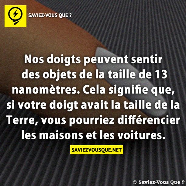 Nos doigts peuvent sentir des objets de la taille de 13 nanomètres. Cela signifie que, si votre doigt avait la taille de la Terre, vous pourriez différencier les maisons et les voitures.