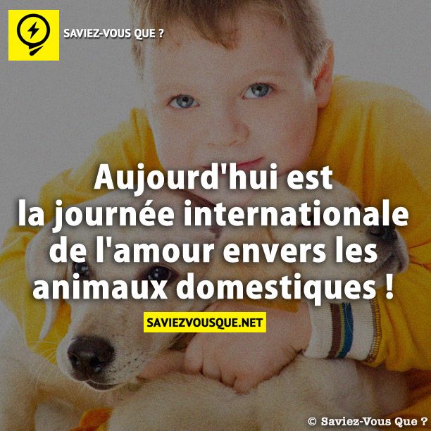 Aujourd&#039;hui est la journée internationale de l&#039;amour envers les animaux domestiques !
