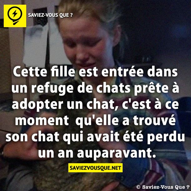 Cette fille est entrée dans un refuge de chats prête à adopter un chat, c&#039;est à ce moment  qu&#039;elle a trouvé son chat qui avait été perdu un an auparavant.