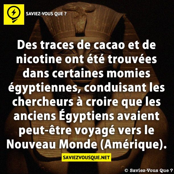 Des traces de cacao et de nicotine ont été trouvées dans certaines momies égyptiennes, conduisant les chercheurs à croire que les anciens Égyptiens avaient peut-être voyagé vers le Nouveau Monde (Amérique).