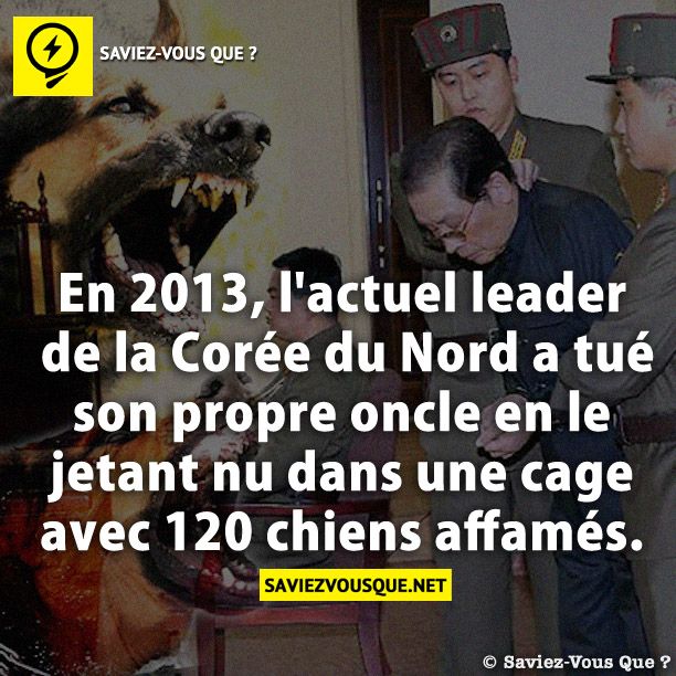 En 2013, l&#039;actuel leader de la Corée du Nord a tué son propre oncle en le jetant nu dans une cage avec 120 chiens affamés.