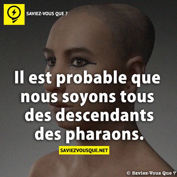 Il est probable que nous soyons tous des descendants des pharaons.