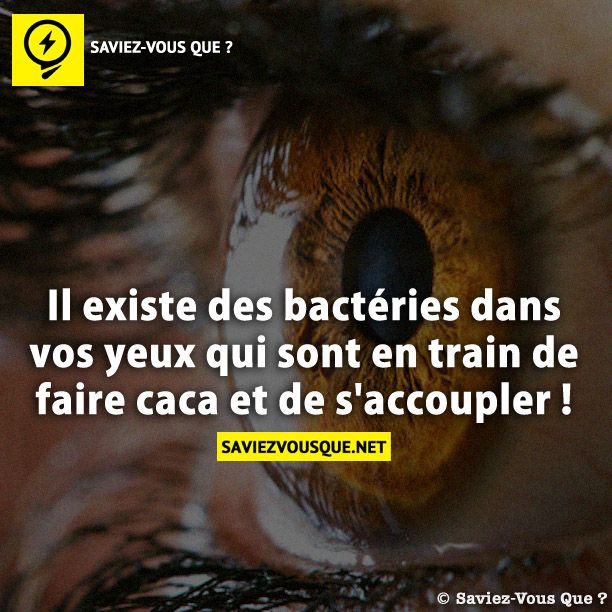 Il existe des bactéries dans vos yeux qui sont en train de faire caca et de s&#039;accoupler !