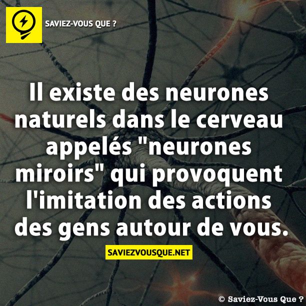 Il existe des neurones naturels dans le cerveau appelés &quot;neurones miroirs&quot; qui provoquent l&#039;imitation des actions des gens autour de vous.