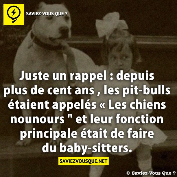 Juste un rappel : depuis plus de cent ans , les pit-bulls étaient appelés « les chiens nounours &quot; et leur fonction principale était de faire du baby-sitters.