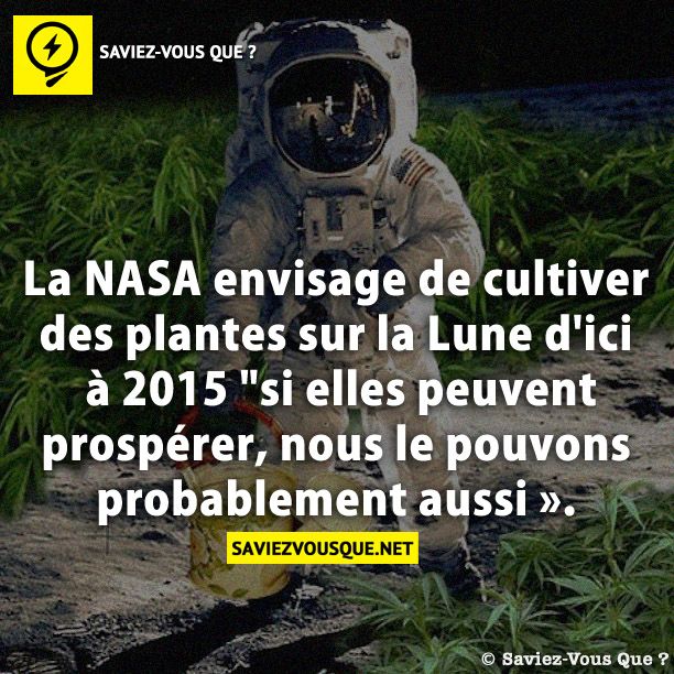 La NASA envisage de cultiver des plantes sur la Lune d&#039;ici à 2015 &quot;si elles peuvent prospérer, nous le pouvons probablement aussi ».