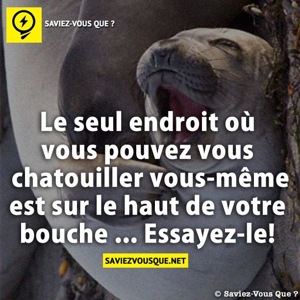 Le seul endroit où vous pouvez vous chatouiller vous-même est sur le haut de votre bouche ... Essayez-le!