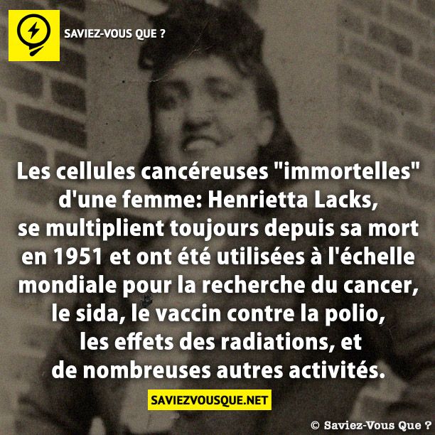 Les cellules cancéreuses &quot;immortelles&quot; d&#039;une femme: Henrietta Lacks, se multiplient toujours depuis sa mort en 1951 et ont été utilisées à l&#039;échelle mondiale pour la recherche du cancer, le sida, le vaccin contre la polio, les effets des radiations, et de nombreuses autres activités.