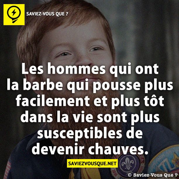 Les hommes qui ont la barbe qui pousse plus facilement et plus tôt dans la vie sont plus susceptibles de devenir chauves.