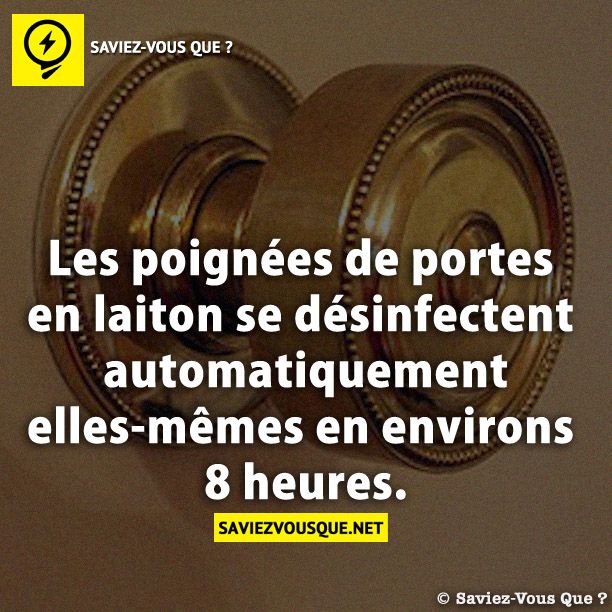 Les poignées de portes en laiton se désinfectent automatiquement elles-mêmes en environs 8 heures.