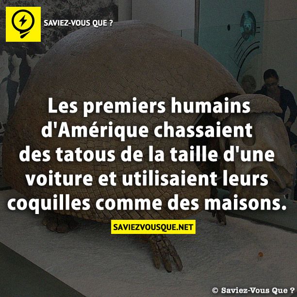 Les premiers humains d&#039;Amérique chassaient des tatous de la taille d&#039;une voiture et utilisaient leurs coquilles comme des maisons.