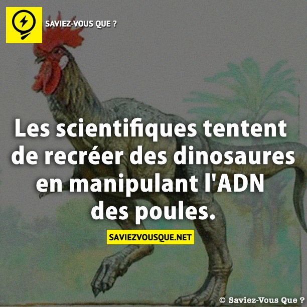 Les scientifiques tentent de recréer des dinosaures en manipulant l&#039;ADN des poules.