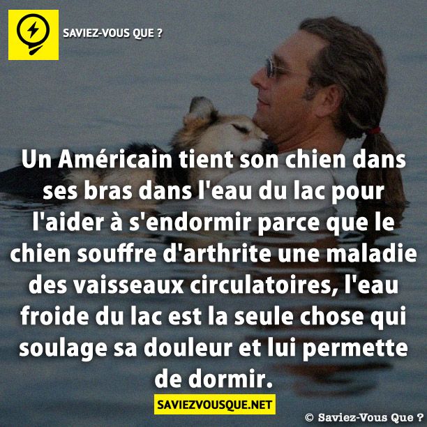 Un Américain tient son chien dans ses bras dans l&#039;eau du lac pour l&#039;aider à s&#039;endormir parce que le chien souffre d&#039;arthrite une maladie des vaisseaux circulatoires, l&#039;eau froide du lac est la seule chose qui soulage sa douleur et lui permette de dormir.