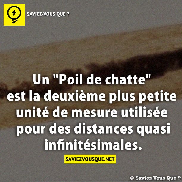 Un &quot;Poil de chatte&quot; est la deuxième plus petite unité de mesure utilisée pour des distances quasi  infinitésimales.