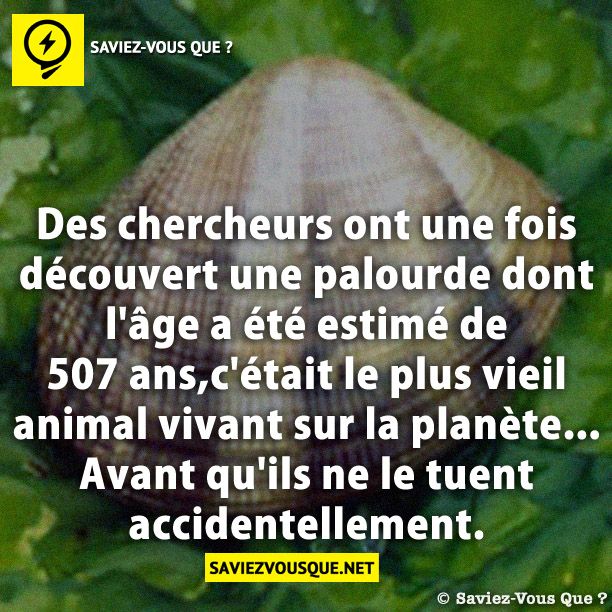 Des chercheurs ont une fois découvert une palourde dont l'âge a été estimé de 507 ans,c'était le plus vieil animal vivant sur la planète... Avant qu'ils ne le tuent accidentellement.
