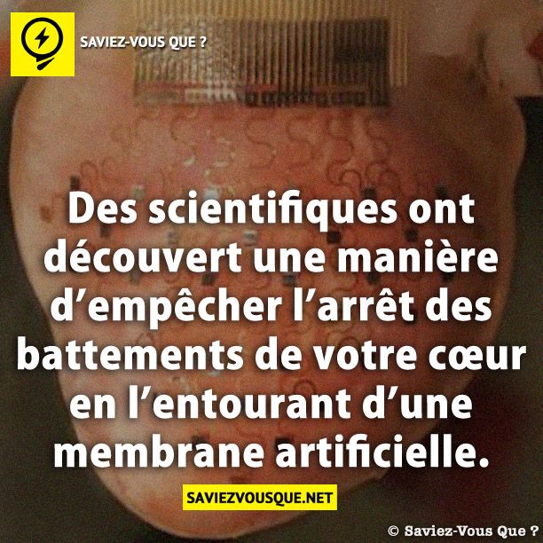 Des scientifiques ont découvert une manière d’empêcher l’arrêt des battements de votre cœur en l’entourant d’une membrane artificielle.