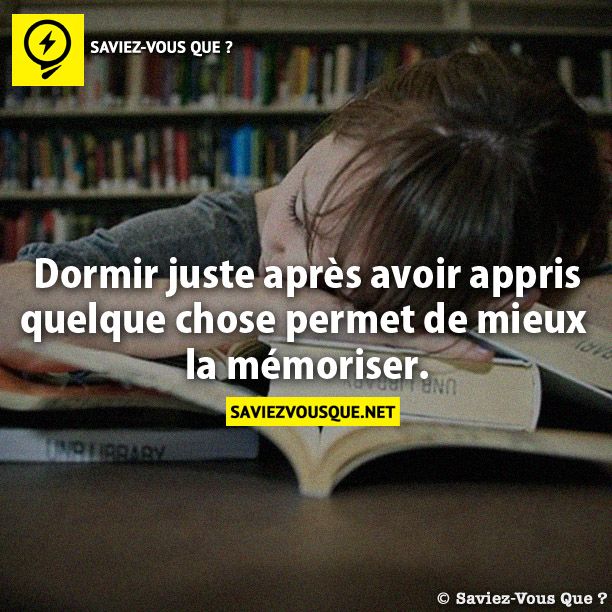 Dormir juste après avoir appris quelque chose permet de mieux  la mémoriser.