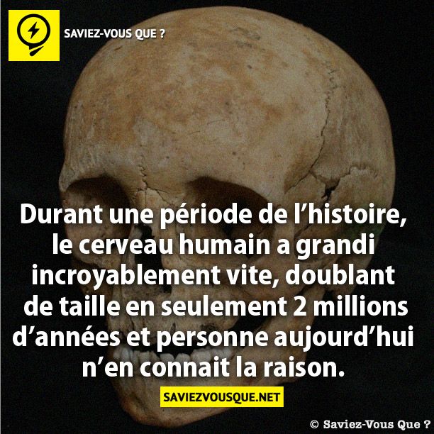 Durant une période de l’histoire, le cerveau humain a grandi incroyablement vite, doublant  de taille en seulement 2 millions d’années et personne aujourd’hui n’en connait la raison.