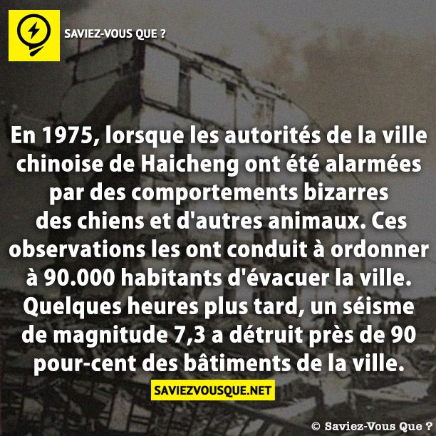 En 1975, lorsque les autorités de la ville chinoise de Haicheng ont été alarmées par des comportements bizarres des chiens et d&#039;autres animaux. Ces observations les ont conduit à ordonner à 90.000 habitants d&#039;évacuer la ville. Quelques heures plus tard, un séisme de magnitude 7,3 a détruit près de 90 pour-cent des bâtiments de la ville.
