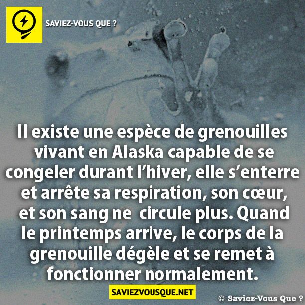 Il existe une espèce de grenouilles vivant en  Alaska capable de se congeler durant l’hiver, elle  s’enterre  et arrête sa respiration, son cœur, et son  sang ne  circule plus. Quand le printemps arrive,  le corps de la grenouille dégèle et se remet à  fonctionner normalement.