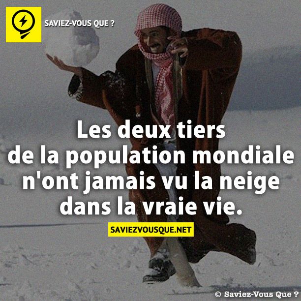 Les deux tiers de la population mondiale n&#039;ont jamais vu la neige dans la vraie vie.
