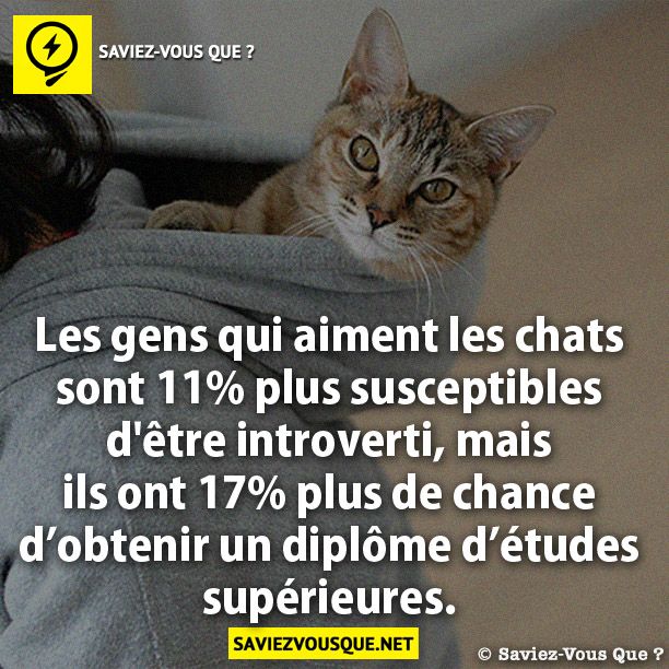 Les gens qui aiment les chats sont 11% plus susceptibles d&#039;être introverti, mais ils ont 17% plus de chance d’obtenir un diplôme d’études supérieures.
