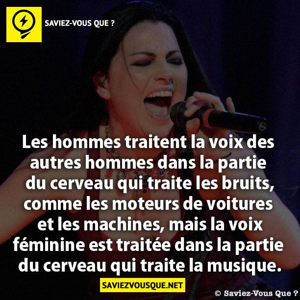 Les hommes traitent la voix des autres hommes dans la partie du cerveau qui traite les bruits, comme les moteurs de voitures et les machines, mais la voix féminine est traitée dans la partie du cerveau qui traite la musique.