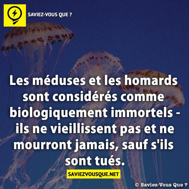 Les méduses et les homards sont considérés comme biologiquement immortels - ils ne vieillissent pas et ne mourront jamais, sauf s&#039;ils sont tués.