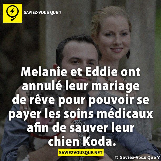 Melanie et Eddie ont annulé leur mariage de rêve pour pouvoir se payer les soins médicaux afin de sauver leur chien Koda.