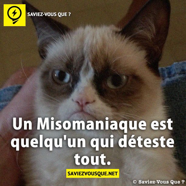 Un Misomaniaque est quelqu'un qui déteste tout.