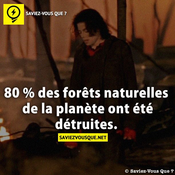 80 % des forêts naturelles de la planète ont été détruites.