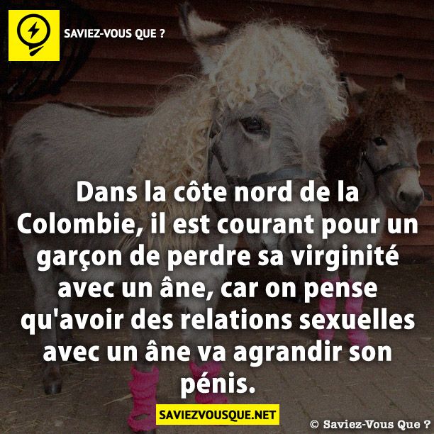 Dans la côte nord de la Colombie, il est courant pour un garçon de perdre sa virginité avec un âne, car on pense qu'avoir des relations avec un âne va agrandir son