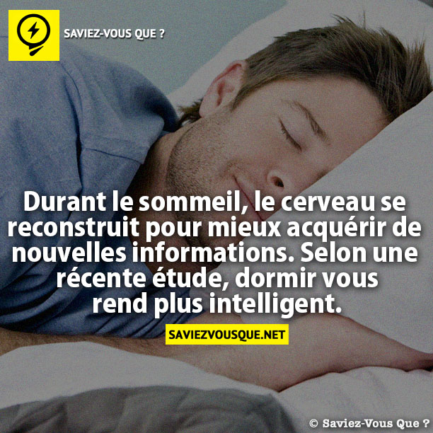 Durant le sommeil, le cerveau se reconstruit pour mieux acquérir de  nouvelles informations.Selon une récente étude, dormir vous rend plus intelligent.
