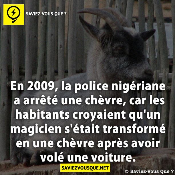 En 2009, la police nigériane a arrêté une chèvre, car les habitants croyaient qu&#039;un magicien s&#039;était transformé en une chèvre après avoir volé une voiture.