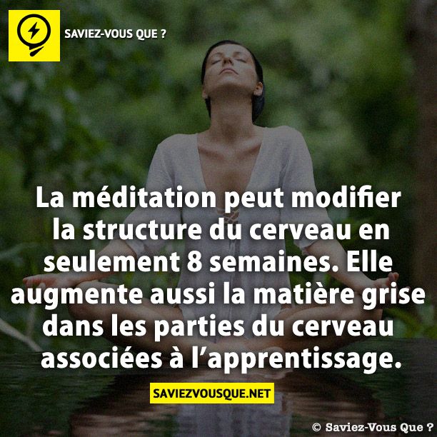La méditation peut modifier la structure du cerveau en seulement 8 semaines. Elle augmente aussi la matière grise dans les parties du cerveau associées à l’apprentissage.