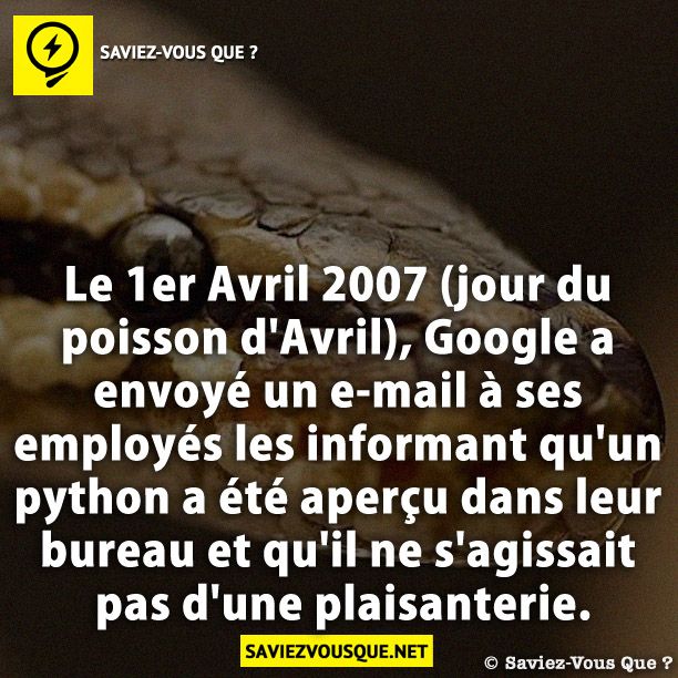 Le 1er Avril 2007 (jour du poisson d&#039;Avril), Google a envoyé un e-mail à ses employés les informant qu&#039;un python a été aperçu dans leur bureau et qu&#039;il ne s&#039;agissait pas d&#039;une plaisanterie.