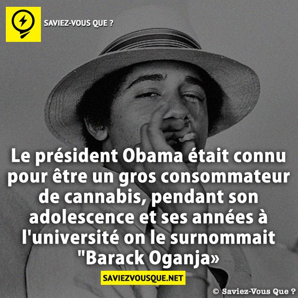 Le président Obama était connu pour être un gros consommateur de cannabis, pendant son adolescence et ses années à l&#039;université on le surnommait &quot;Barack Oganja»