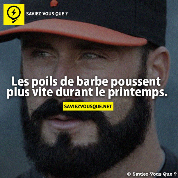 Les poils de barbe poussent  plus vite durant le printemps.