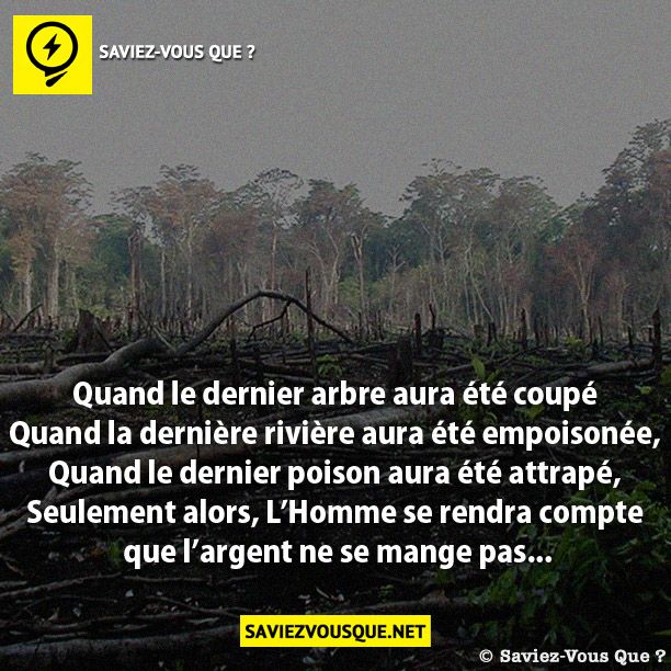 Quand le dernier arbre aura été coupé Quand la dernière rivière aura été empoisonée, Quand le dernier poison aura été attrapé, Seulement alors, L’Homme se rendra compte