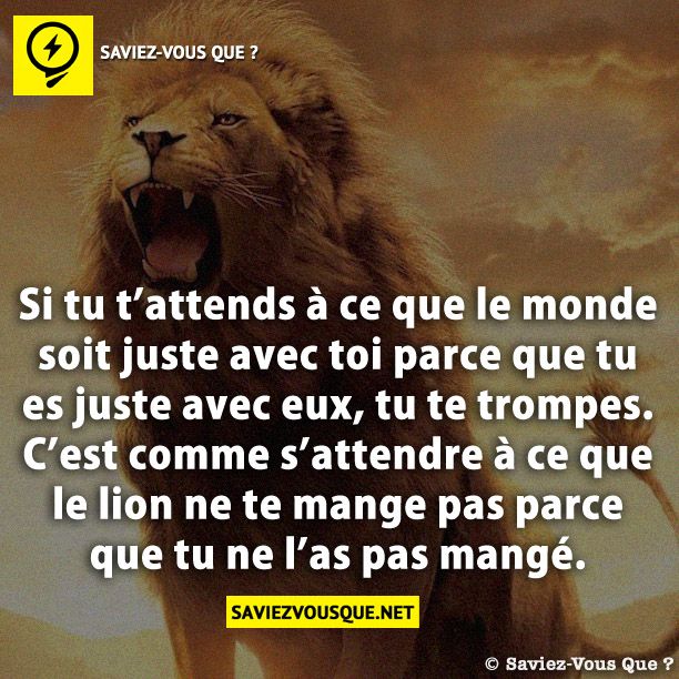 Si tu t’attends à ce que le monde soit juste avec toi parce que tu es juste avec eux, tu te trompes. C’est comme s’attendre à ce que le lion ne te mange pas parce que tu ne l’as pas mangé.